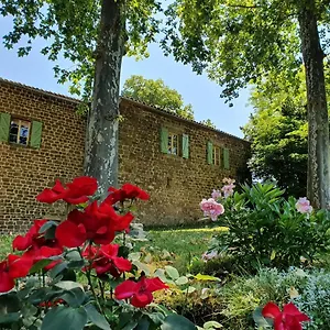 Maison d'hôtes Château Labistoul, Campes